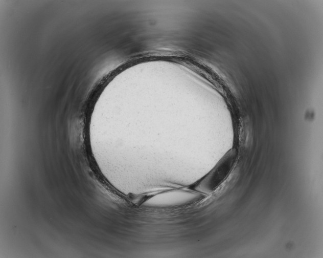 X0000099461402200805301524