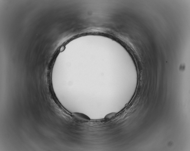 X0000099461404200805301524