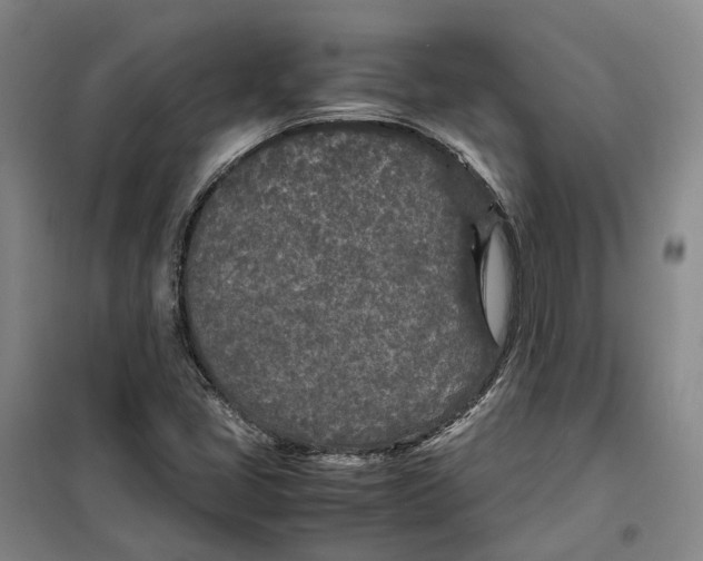 X0000099461405200805301524