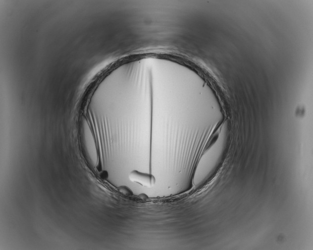 X0000099461406200805301524