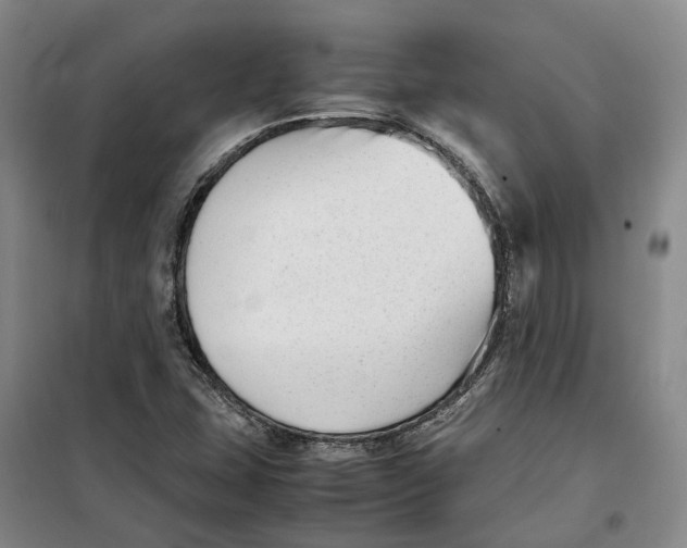 X0000099461407200805301524