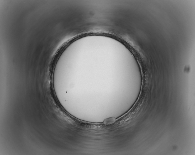 X0000099461408200805301524