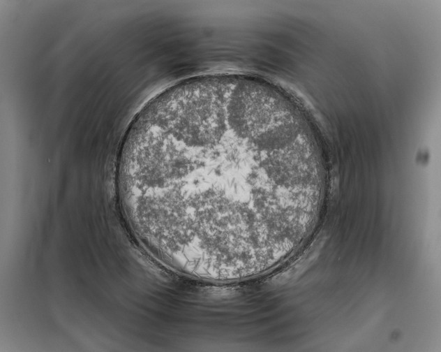 X0000099461409200805301524