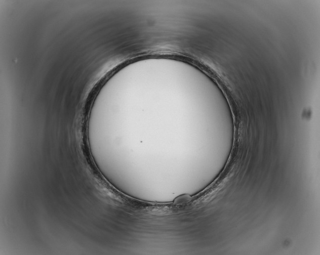 X0000099461410200805301524