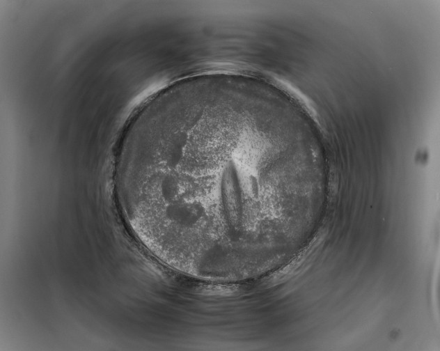 X0000099461411200805301524