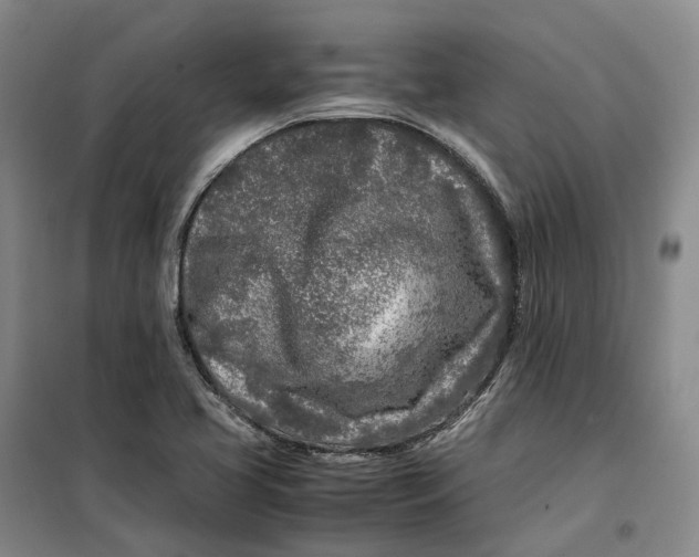 X0000099461413200805301524