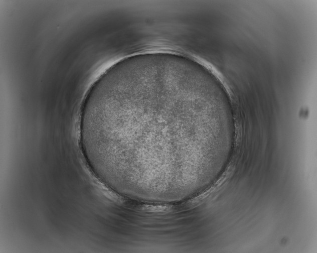 X0000099461415200805301524