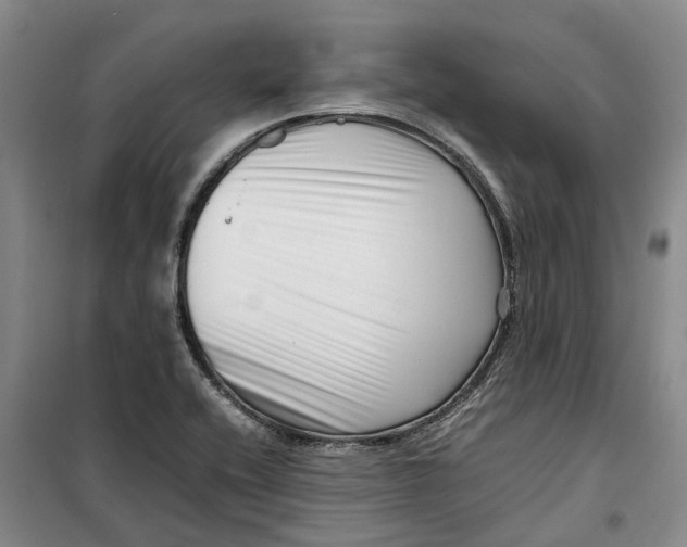 X0000099461416200805301524