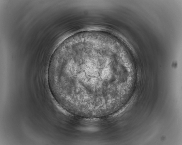 X0000099461417200805301524