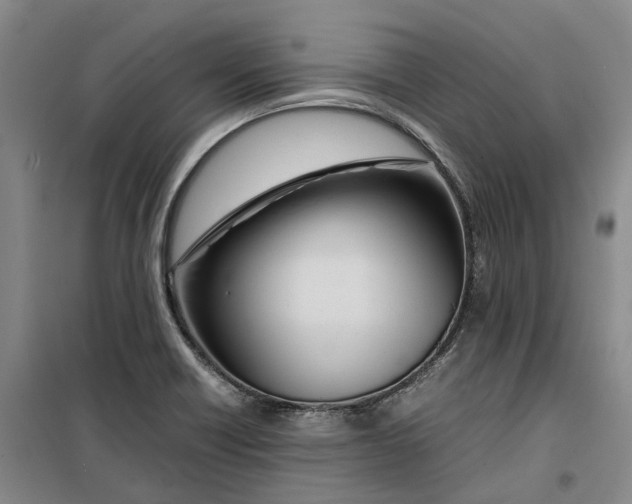 X0000099461418200805301524