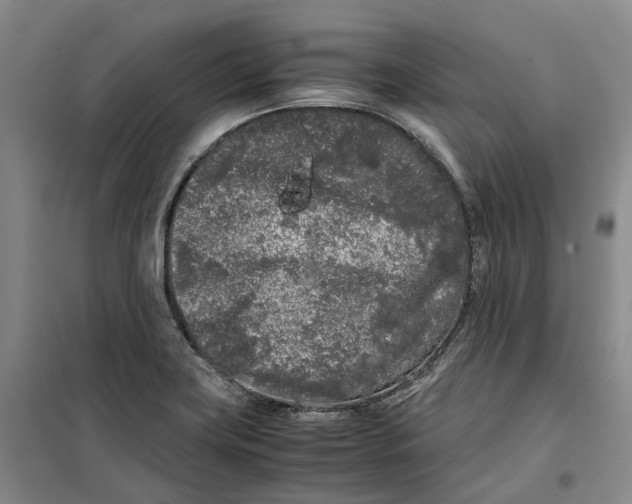 X0000099461419200805301524