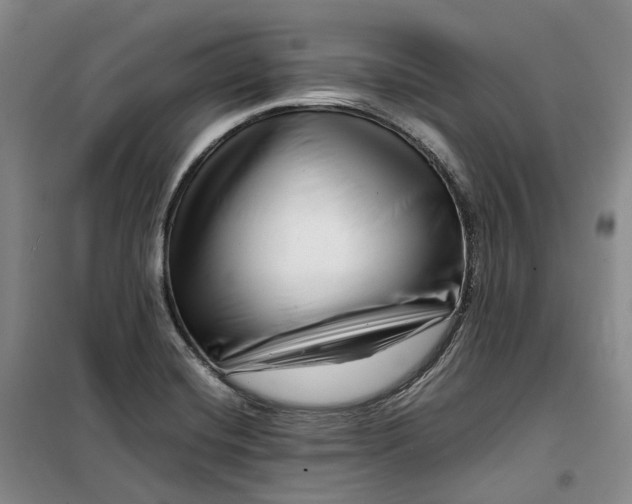 X0000099461420200805301524