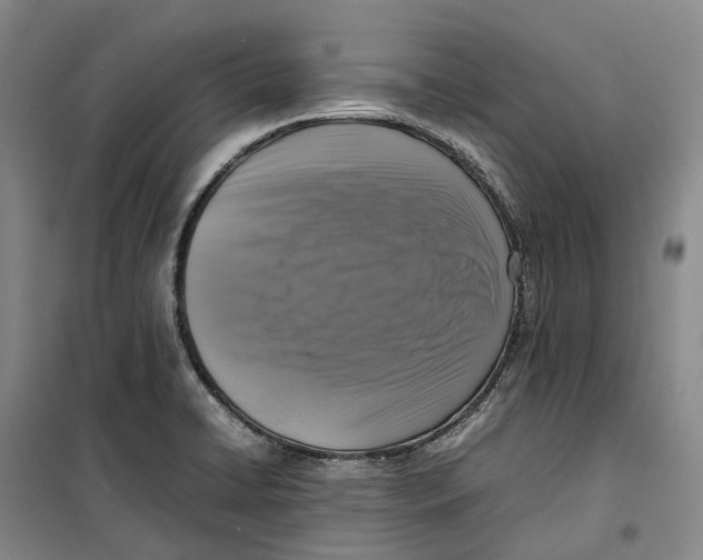 X0000099461422200805301524