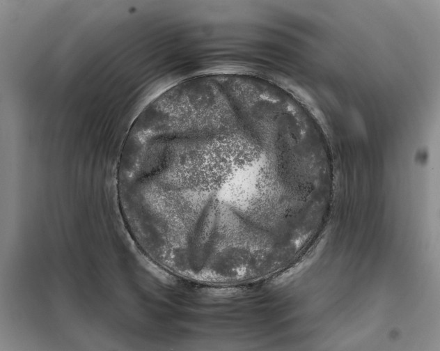 X0000099461425200805301525