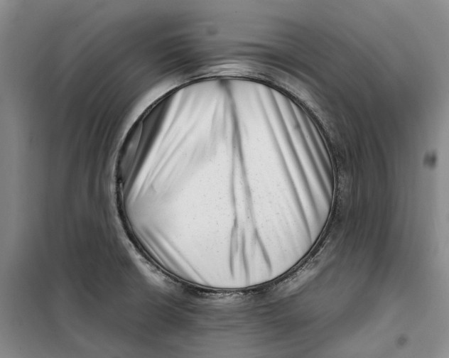 X0000099461426200805301525