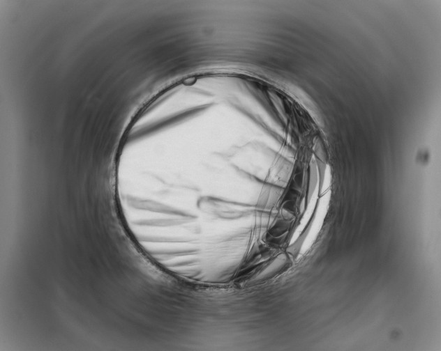 X0000099461428200805301525