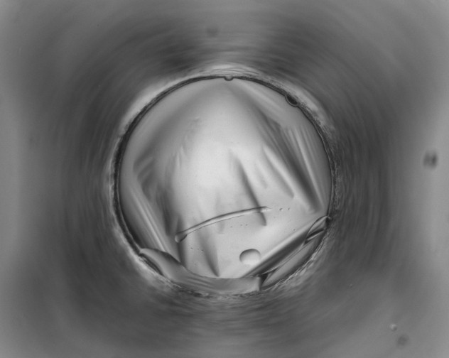 X0000099461430200805301525