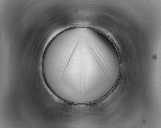 X0000099461432200805301525