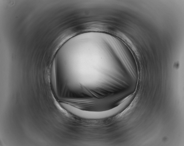 X0000099461433200805301525