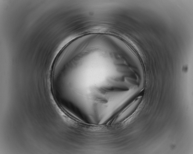 X0000099461434200805301525