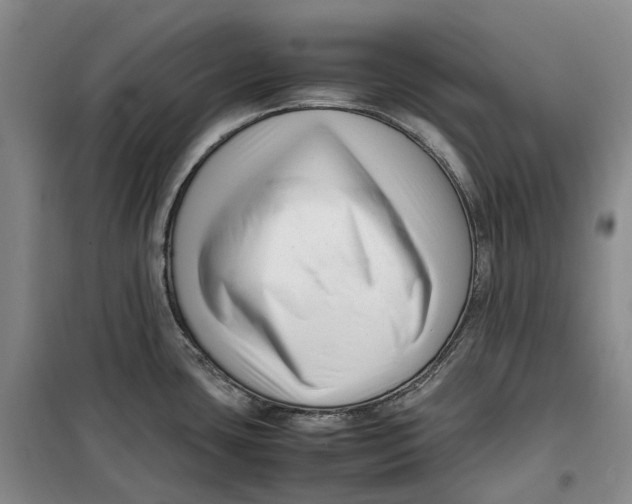 X0000099461435200805301525