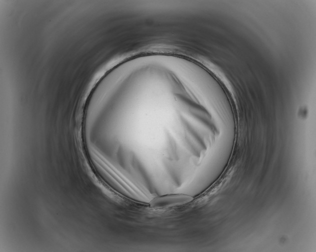 X0000099461437200805301525