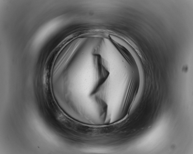 X0000099461438200805301525