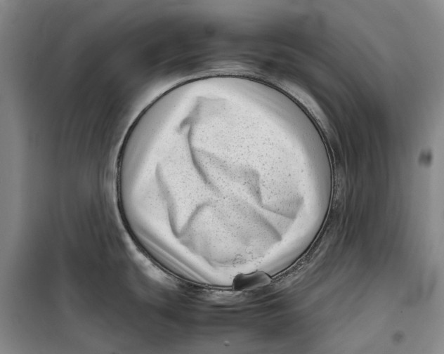 X0000099461439200805301525