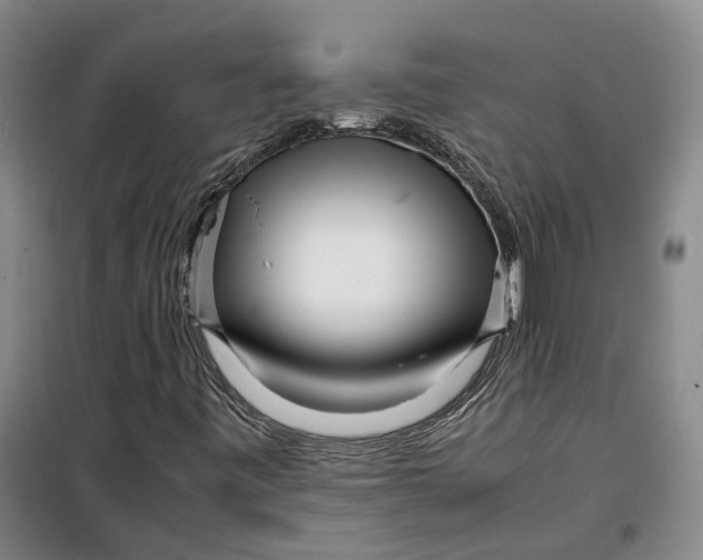 X0000099461443200805301524