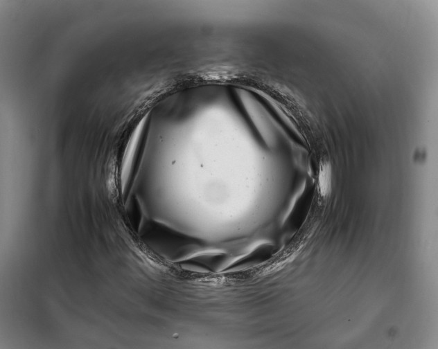 X0000099461444200805301524