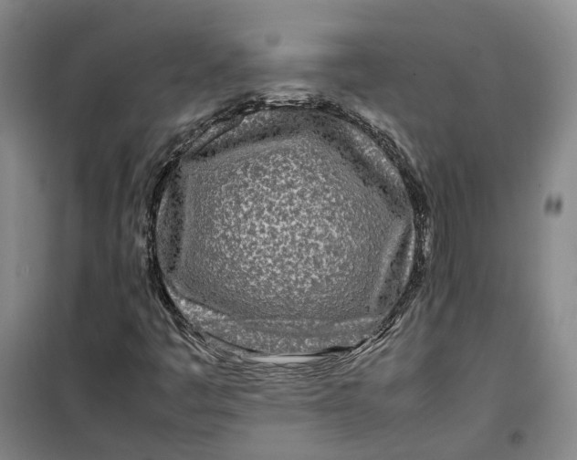 X0000099461445200805301524