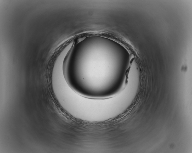 X0000099461448200805301524