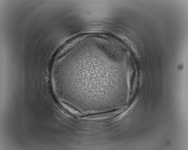 X0000099461449200805301524