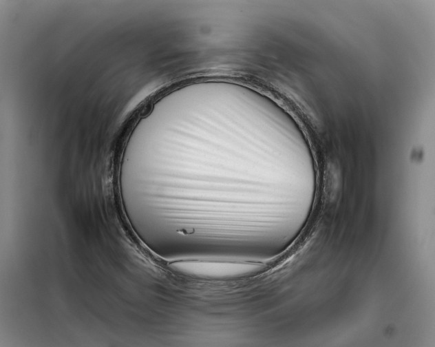 X0000099461450200805301524