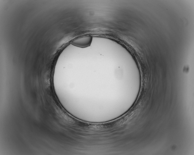 X0000099461451200805301524