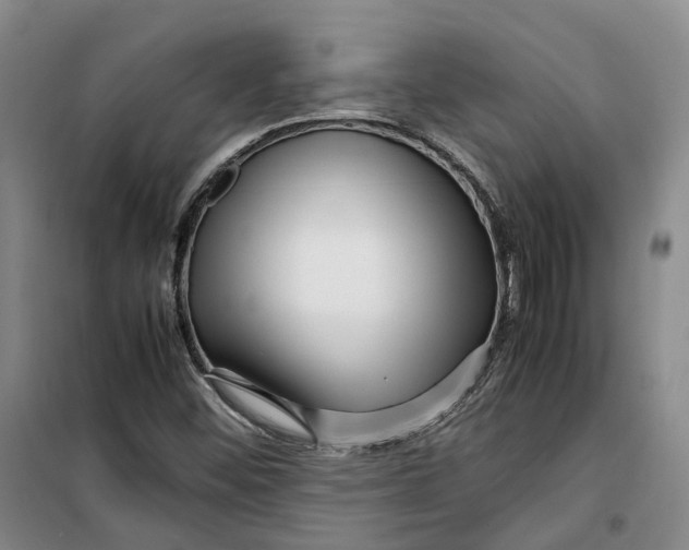 X0000099461452200805301524