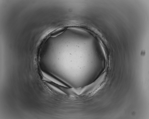 X0000099461453200805301524