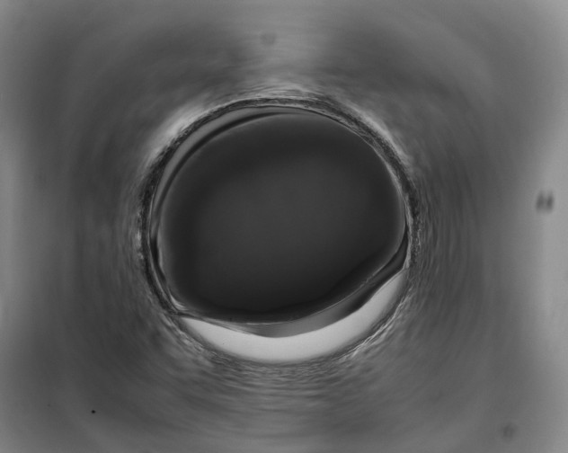 X0000099461455200805301524