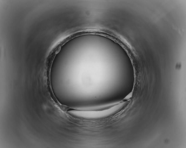 X0000099461456200805301524