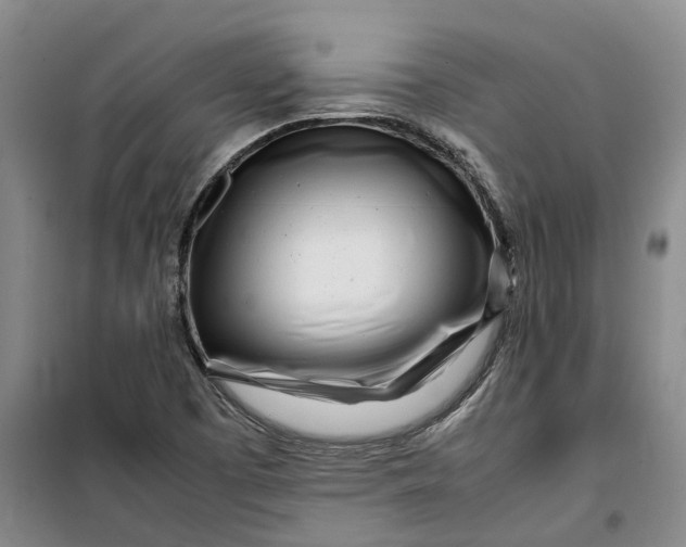 X0000099461457200805301524