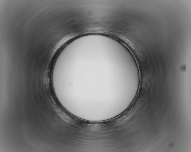 X0000099461458200805301524