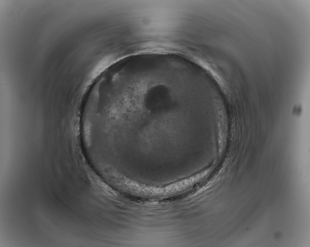 X0000099461459200805301524