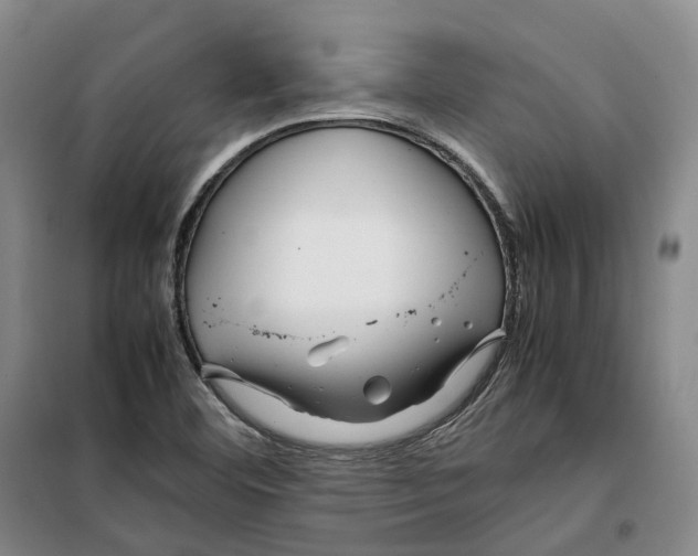 X0000099461460200805301524