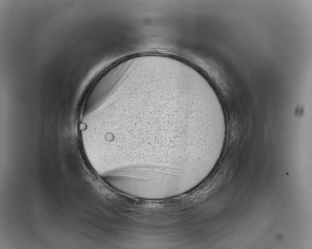 X0000099461462200805301524