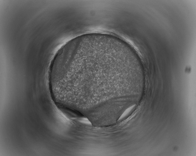 X0000099461463200805301524