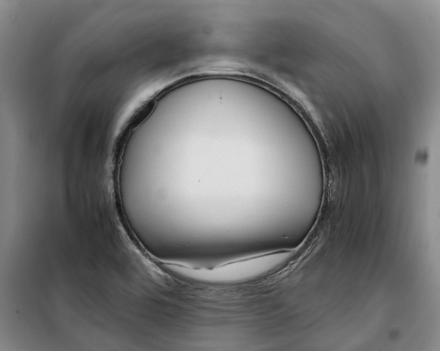 X0000099461464200805301524