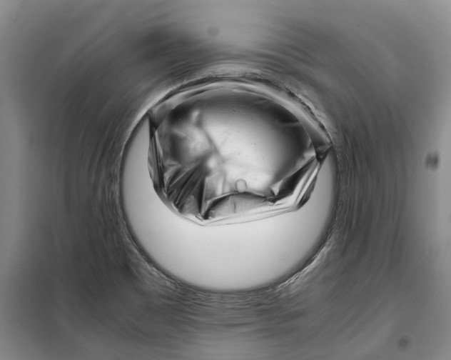 X0000099461465200805301524