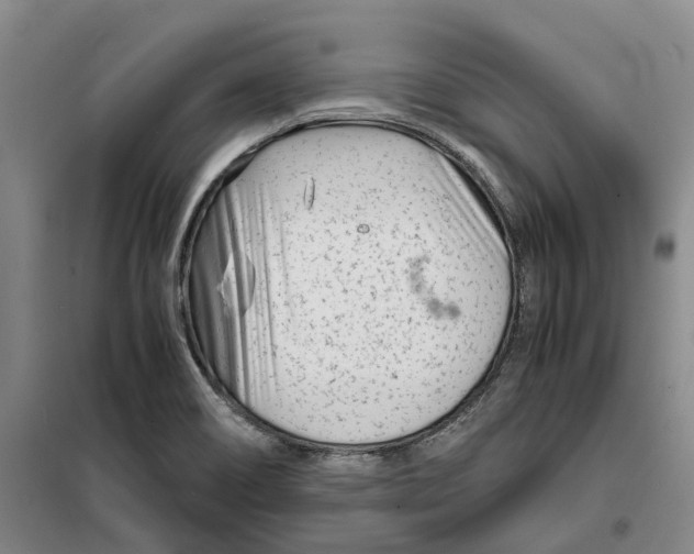 X0000099461466200805301524