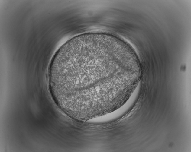 X0000099461467200805301524