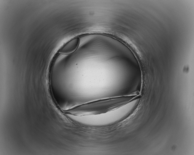 X0000099461469200805301524